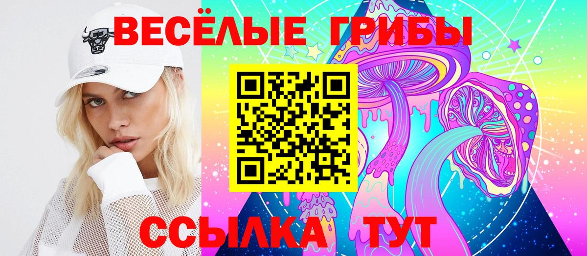 Сухой Лог  Галлюциногенные грибы Cubensis  Вход с VPN 