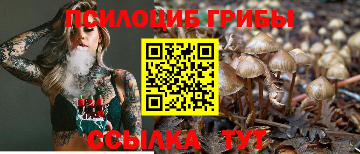 Псилоцибиновые грибы ЛСД Сухой Лог